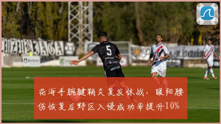 花海手腕腱鞘炎复发休战，暖阳腰伤恢复后野区入侵成功率提升10%